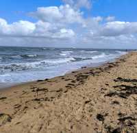 墨爾本文【BrightonBeach】是遊客必到之打卡勝地！