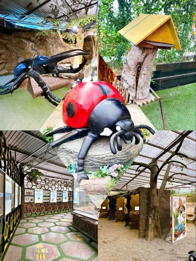 겐팅 하이랜드의 벌 농장 방문