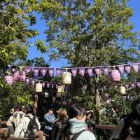 東京ディズニーシー🚢⛰️ いまのシーは盛りだくさん✨