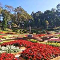 อัพเดท สวนดอกไม้เมืองหนาว ดอยตุง เชียงราย