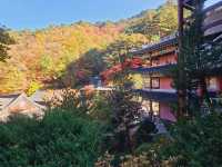 Fall season at the biggest temple in Korea, Guinsa Temple