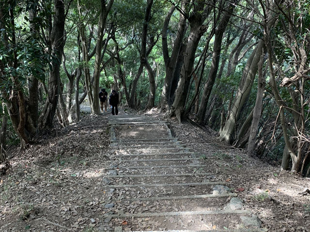 鋸山登山！