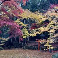 紅葉の名所、古刹「洞光寺」。