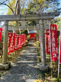 【神奈川県/鎌倉　良縁の縁結びの神社として知られている 『葛原岡神社』】