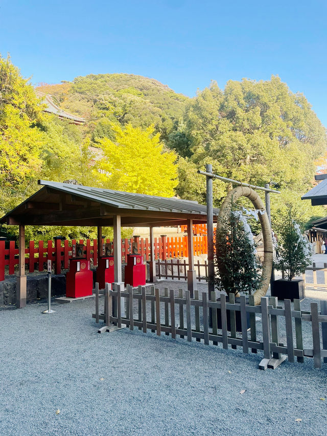 【神奈川県/鎌倉　生命力を感じる”大銀杏”の紅葉が美しい『鶴岡八幡宮』】