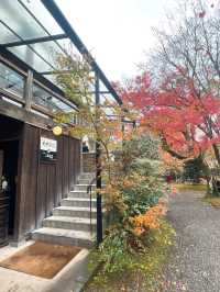 【湯布院】感動！亀の井別荘の素晴らしい紅葉✨