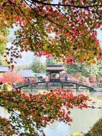 虎溪山永保寺-日式庭園寺廟配搭絕美紅葉，讓人看得如痴如醉
