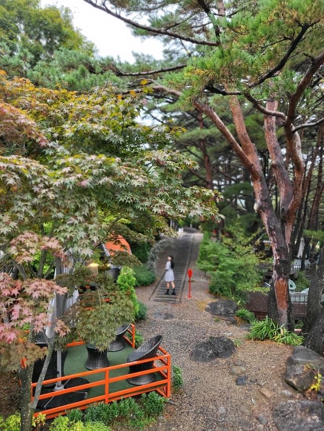 역대급 단풍을 만날수 있는 무주 대형카페