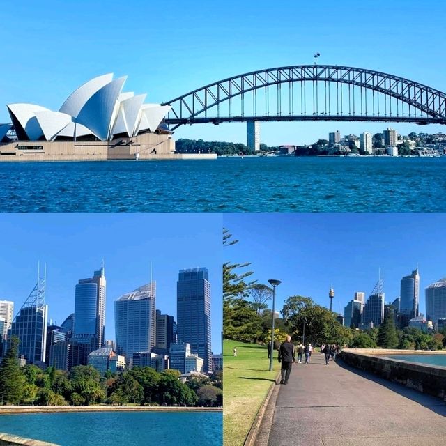 Exploring the Royal Botanic Garden, a wholeheartedly relaxation and peaceful escape!