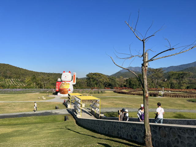 ฮิโนกิแลนด์ (HINOKI LAND) เชียงใหม่