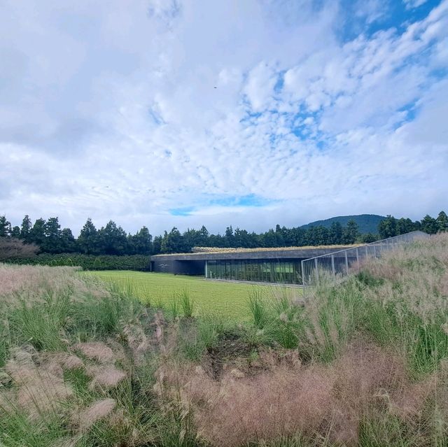 濟洲島涉地可支🏞️獨立岩📸風之山坡Boromwat🌁方舟教堂👣熱門打卡景點介紹👍