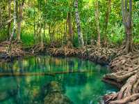 Chillin’ at Krabi’s Emerald Pool: A Hidden Gem