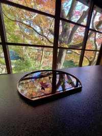 【朝倉カフェ】紅葉を楽しめる隠れ家のようなカフェ