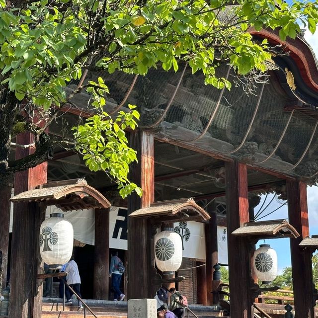 長野景點｜一生必去一次~日本最古老佛像~善光寺的魅力