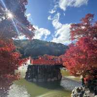 大阪近郊紅葉景點 - 勝尾寺🍁