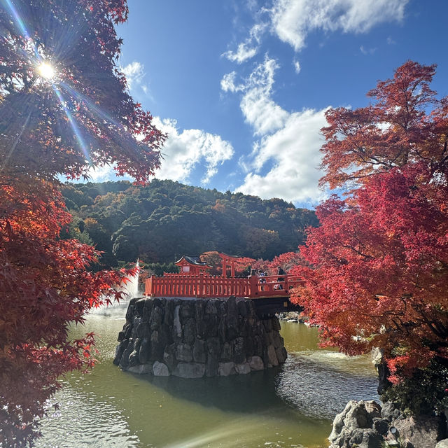 大阪近郊紅葉景點 - 勝尾寺🍁