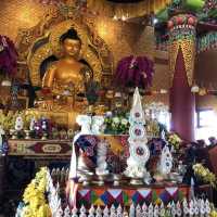 🇮🇳 印度-菩提迦耶 Bodhgaya 度母寺