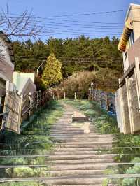 Busan เมืองแห่งความฝัน🍁