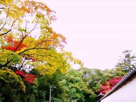 兵庫🇯🇵書寫圓教寺