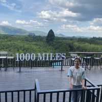 ไร่ชา 1000 ไมล์ พัทลุง