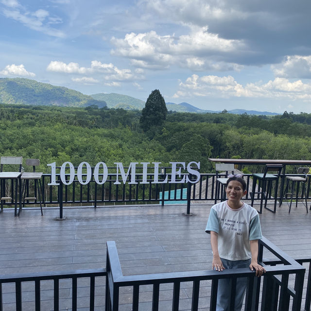 ไร่ชา 1000 ไมล์ พัทลุง