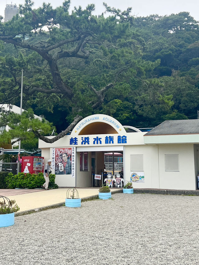【高知旅行】桂浜／坂本龍馬像と太平洋を一望