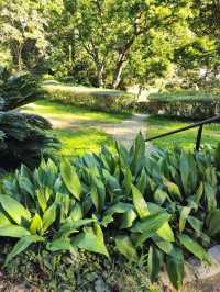 해외여행 스페인 바르셀로나 Jardi Botanic Historic