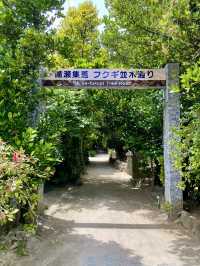【沖縄旅行】 パワースポット✨️樹齢数百年のフクギ並木