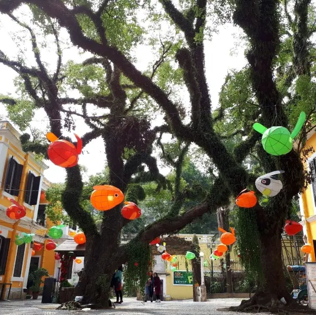 A Relaxing Day in Macau