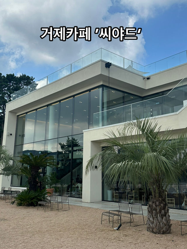 🌴🌊 거제도의 숨은 보석, 카페 씨야드(SEAYARD)