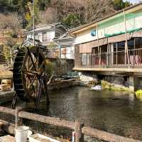 【竹田】新鮮ピチピチ✨釣った魚をその場で食べられる川魚釣り堀🐟