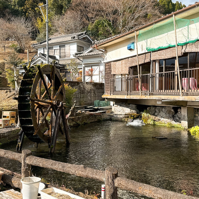 【竹田】新鮮ピチピチ✨釣った魚をその場で食べられる川魚釣り堀🐟