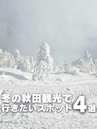【秋田】冬の秋田観光で行きたい⁡スポット 4選⁡