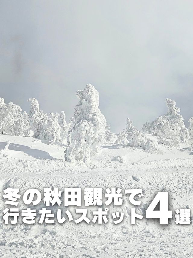 【秋田】冬の秋田観光で行きたい⁡スポット 4選⁡