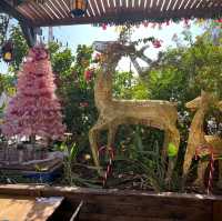 Eilat on Winter