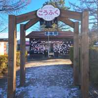 北海道旅遊🥳十勝幸福駅🥳幸運交通公園💘