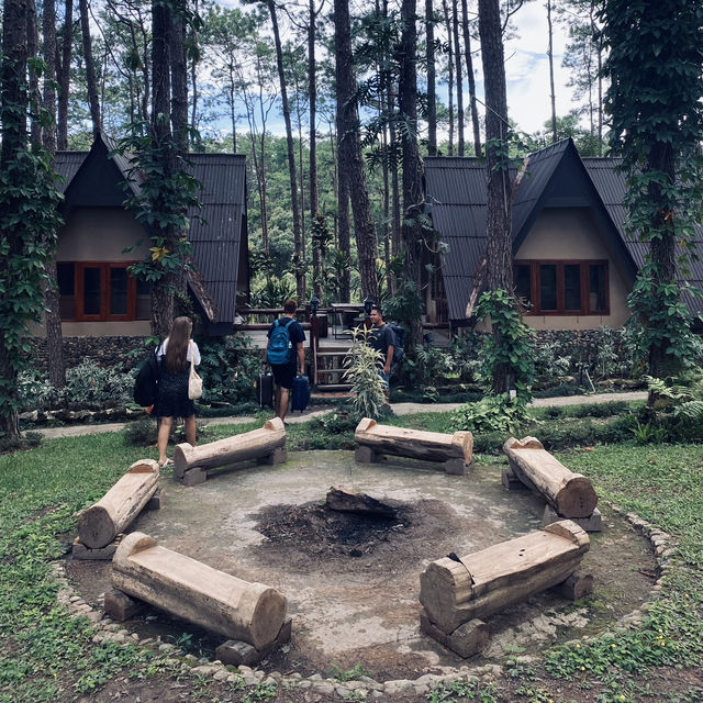 สวนป่าดอยบ่อหลวง องค์การอุตสาหกรรมป่าไม้ เชียงใหม่