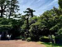 Bijarim Forest