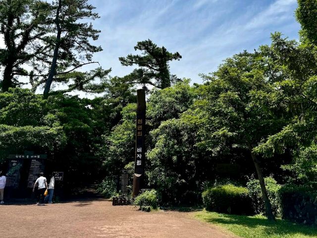Bijarim Forest