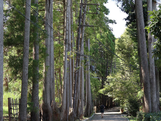 Step Back in Time Along Saga Toriimoto Preserved Street