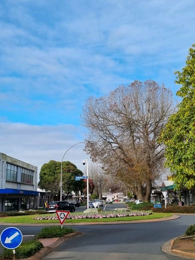 고요한 마을에서 마주한 로토루아 호수(Rotorua Lake)🇳🇿
