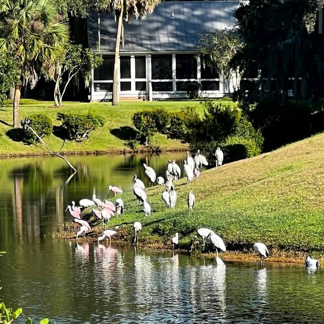 Montage Palmetto Bluff – Bluffton, SC