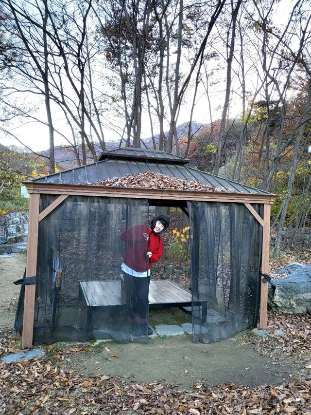 봄이 기다려지는 크리스마스 정원카페