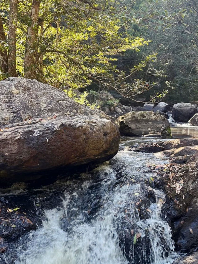 A Journey Through Nature’s Masterpiece: My Adventure at Khao Yai National Park