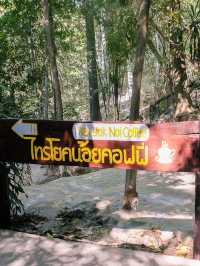 น้ำตกไทรโยคน้อย น้ำตกสุดชิลเมืองกาญ