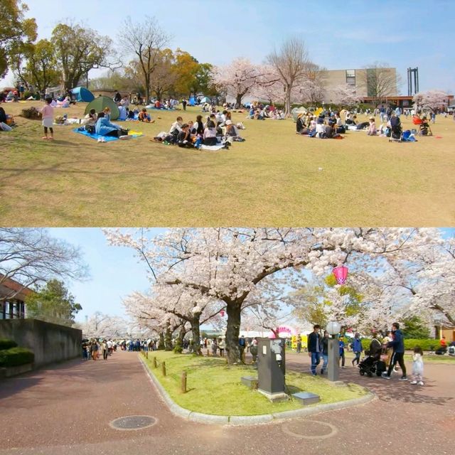 大阪景點
