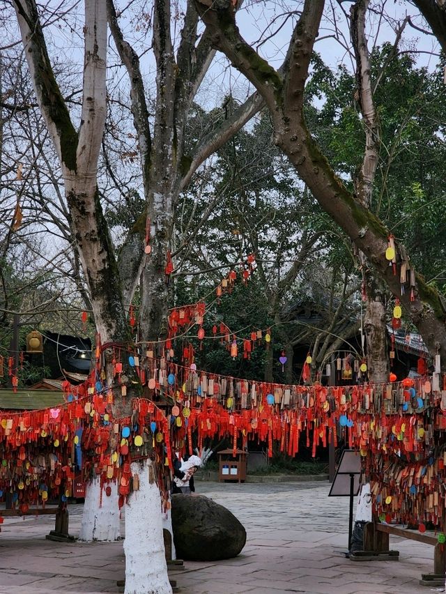 🛕Huanglongxi Ancient Town Chengdu