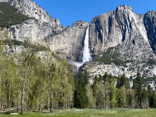 Yosemite National Park