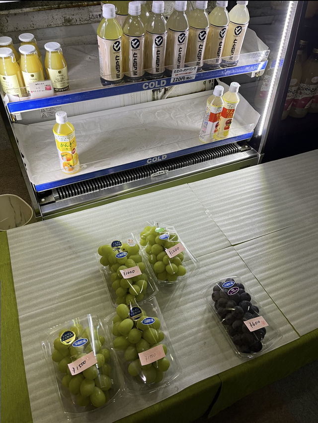 【小布施町🇯🇵】 北信五岳が見渡せる絶景日帰り温泉♨️