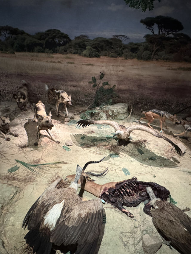 Spend a day exploring Shenzhen free museum